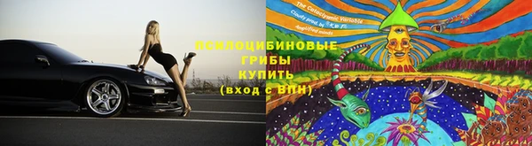 мдпв Коряжма