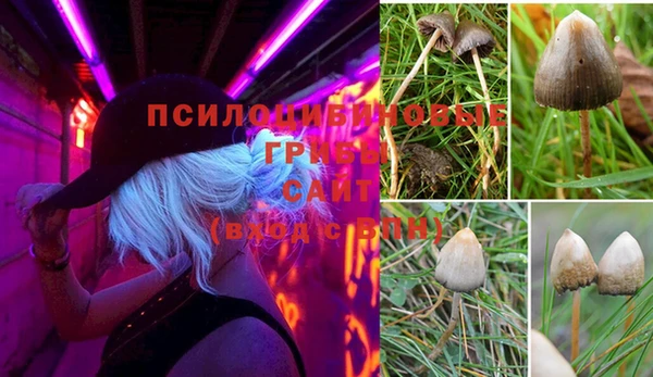 мет Костерёво