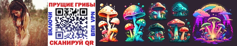 Псилоцибиновые грибы Psilocybe  Купить закладки  Соль-Илецк 