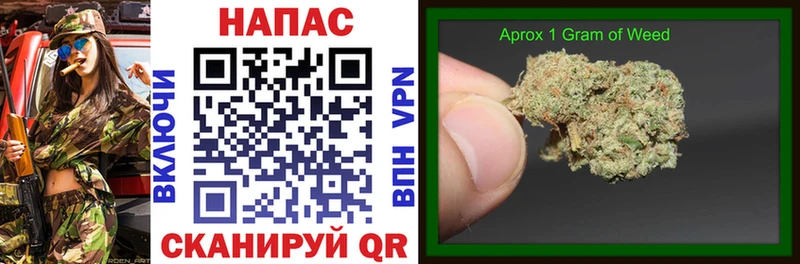 Купить где  Соль-Илецк  Шишки марихуана SATIVA & INDICA 
